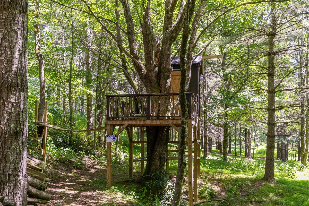 A playful treehouse nestled among tall trees and vibrant greenery is the focal point, inviting children to play, explore, and make memories. The lush surroundings suggest a safe, expansive, and natural environment perfect for families and pets.